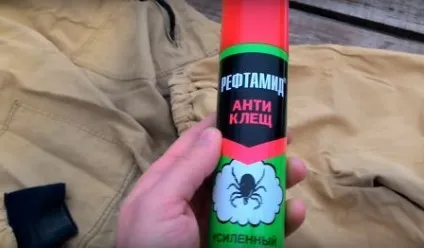 Кліщі на дачі способи рішень від кліщів на дачній ділянці, як позбутися від кліщів, обробити (дачній) Кліщі на дачі способи рішень від кліщів на дачній ділянці, як позбутися від кліщів, обробити