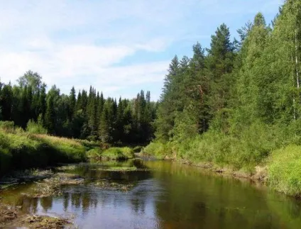 Керженець - річка в нижегородської області опис, рибалка, відпочинок