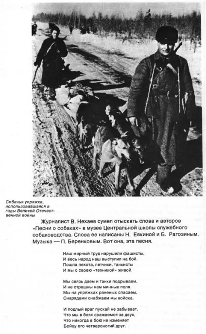 Класний пес - перегляд теми - найзнаменитіші в історії собаки (собаки) Класний пес - перегляд теми - найзнаменитіші в історії собаки