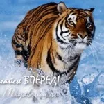 Сигнали і підказки всесвіту (всесвіту) Сигнали і підказки всесвіту
