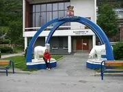 Символіка білого ведмедя