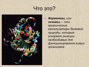 Сироїдіння меню сироїда в условіяхУкаіни (умовах) Сироїдіння меню сироїда в условіяхУкаіни