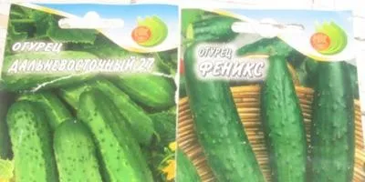 Шпалери на дачній ділянці і в саду своїми руками, ідеї (шпалери) Шпалери на дачній ділянці і в саду своїми руками, ідеї
