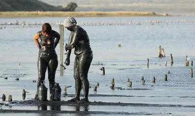 Сиваш на арабатської стрілкою і як застосовувати лікувальні грязі - сонячний будинок відпочинок азовське море (лікувальні) Сиваш на арабатської стрілкою і як застосовувати лікувальні грязі - сонячний будинок відпочинок азовське море