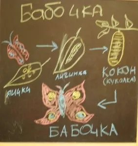 Конспект заняття метелики, вчимося граючись (заняття) Конспект заняття метелики, вчимося граючись