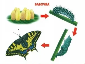 Конспект заняття метелики, вчимося граючись (інтегроване заняття) Конспект заняття метелики, вчимося граючись