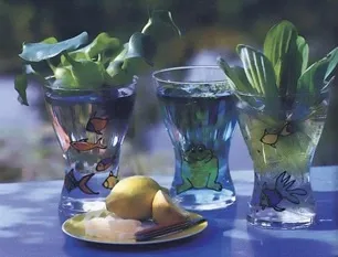 Кімнатні водні рослини, улюблені квіти (тропічних водних рослин) Кімнатні водні рослини, улюблені квіти