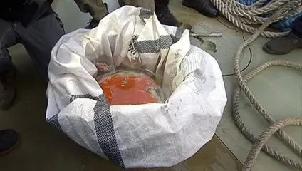 Командир, ми падаємо! »Чому в останні секунди екіпаж ту-154 говорив про закрилках (екіпаж) Командир, ми падаємо! »Чому в останні секунди екіпаж ту-154 говорив про закрилках