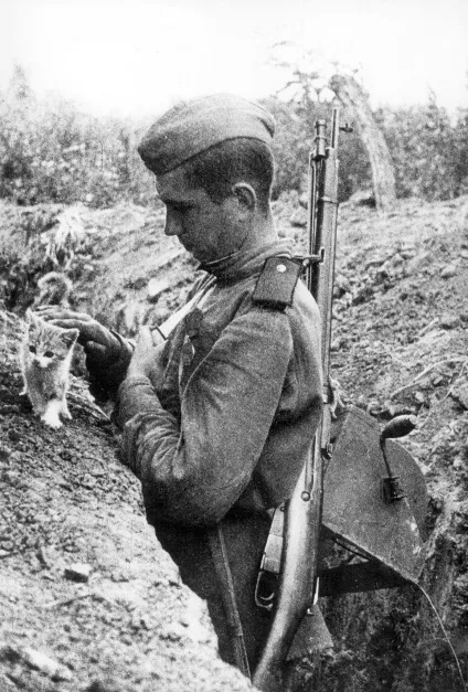 Коли гармати мовчать на війні (Німеччина 1945 року) Коли гармати мовчать на війні