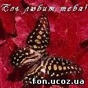 Корнеліс - вірю я (мобільна версія) (будеш мною опустиш мене) Корнеліс - вірю я (мобільна версія)