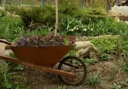 Контейнерне озеленення 27 фото пересувні клумби (пересувні) Контейнерне озеленення 27 фото пересувні клумби