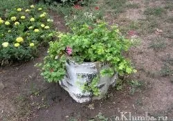 Контейнерне озеленення 27 фото пересувні клумби (контейнерне озеленення) Контейнерне озеленення 27 фото пересувні клумби