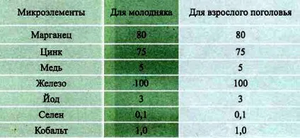 Годування перепелів різного віку в домашніх умовах - опис повного раціону харчування (годування) Годування перепелів різного віку в домашніх умовах - опис повного раціону харчування