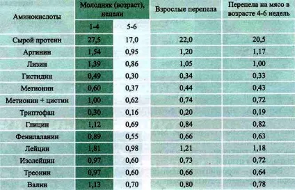 Годування перепелів різного віку в домашніх умовах - опис повного раціону харчування (умовах) Годування перепелів різного віку в домашніх умовах - опис повного раціону харчування