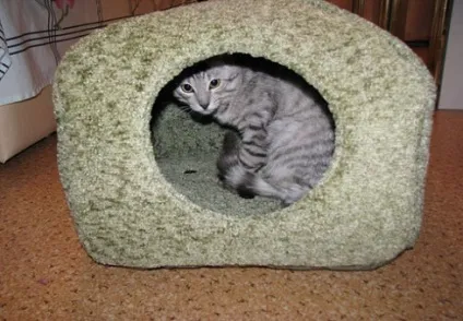 Костюм кішки своїми руками