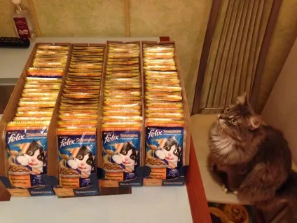 Котячий корм феликс