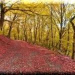Красиві печери криму, відкриті для відвідування на карті, опис та координати (печери криму відкриті для відвідування на карті) Красиві печери криму, відкриті для відвідування на карті, опис та координати