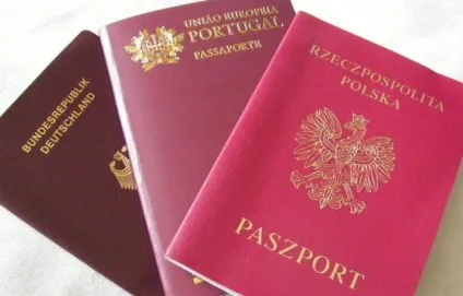 Червоний, зелений, синій від чого залежить колір паспорта (використовують зелені паспорти) Червоний, зелений, синій від чого залежить колір паспорта