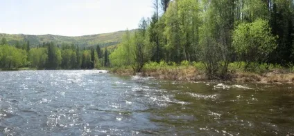 Великі річки, що впадають в байкал, наука і життя (річки) Великі річки, що впадають в байкал, наука і життя