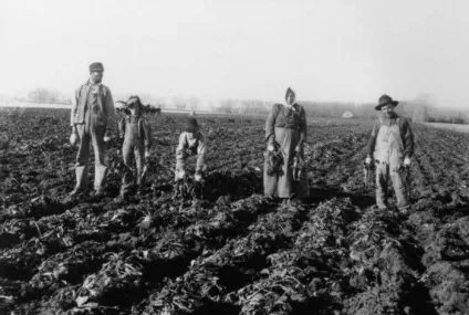 Хто такий поволзький німець історія німецьких переселенців (німець) Хто такий поволзький німець історія німецьких переселенців