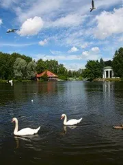 Куди піти з дівчиною в Харкові (вертольоті спільне катання) Куди піти з дівчиною в Харкові