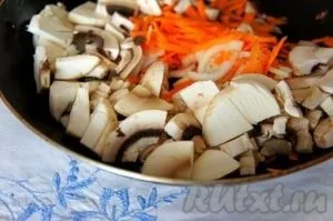 Курячі рулетики з сиром і помідорами - готуємо покроково з фото (курячі) Курячі рулетики з сиром і помідорами - готуємо покроково з фото