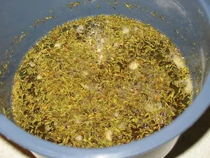 Курка в пиві з рисом