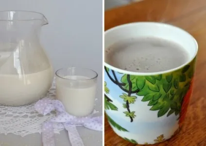 Кунжутне молоко - рецепт сироедческой і веганскої кухні (молоко з кунжутного насіння) Кунжутне молоко - рецепт сироедческой і веганскої кухні