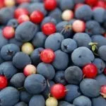 Лікування кісти підшлункової залози народними засобами (залози) Лікування кісти підшлункової залози народними засобами