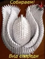 Лебідь подвійний, рукомесло