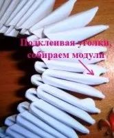 Лебідь подвійний, рукомесло