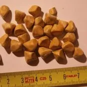 Лазерне дроблення і видалення каменів у жовчному міхурі