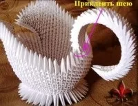 Лебідь подвійний, рукомесло