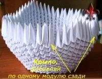 Лебідь подвійний, рукомесло