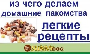 Ласощі для собак своїми руками - прості і смачні рецепти! (Своїми) Ласощі для собак своїми руками - прості і смачні рецепти!