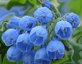Лікування епіконділіта народними засобами (засобами) Лікування епіконділіта народними засобами