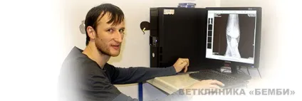Лікування хвороб гризунів хом'яків, кроликів та інших тварин - «ЦЕВМ Бембі» (кроликів дрібних гризунів) Лікування хвороб гризунів хом'яків, кроликів та інших тварин - «ЦЕВМ Бембі»