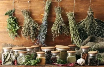 Лікування лейкозу народними засобами - це реально (засобами) Лікування лейкозу народними засобами - це реально
