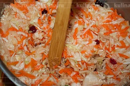 Квашена капуста з журавлиною - рецепт приготування з фото від (м'ясорубки кухонного комбайна) Квашена капуста з журавлиною - рецепт приготування з фото від