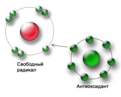 Лікування ішемічного інсульту препарати і ліки (інсульту) Лікування ішемічного інсульту препарати і ліки