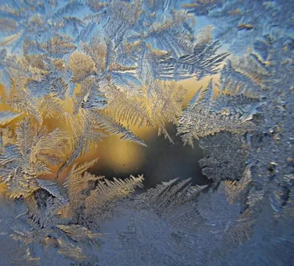 Крижані візерунки на склі - самі незвичайні природні явища - море фактів (море фактів) Крижані візерунки на склі - самі незвичайні природні явища - море фактів