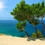 Ловля восьминогів і кальмарів на Кіпрі (ловля) Ловля восьминогів і кальмарів на Кіпрі