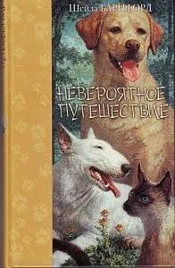 Література про котів