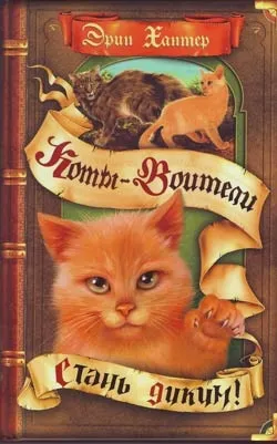 Література про котів