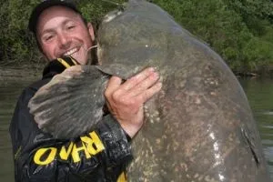 Ловля сома на банку, місця для риболовлі (все про рибалку) Ловля сома на банку, місця для риболовлі