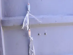 ловля восьминога