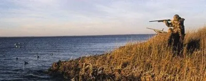 Ліцензія на полювання на качок ціна, де отримати (ціна) Ліцензія на полювання на качок ціна, де отримати