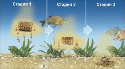 Ловля ляща з відкритою годівницею (ловля) Ловля ляща з відкритою годівницею