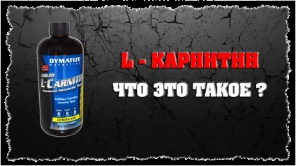 L - карнітин, це як правильно приймати л - карнітин для схуднення (l карнитин це) L - карнітин, це як правильно приймати л - карнітин для схуднення