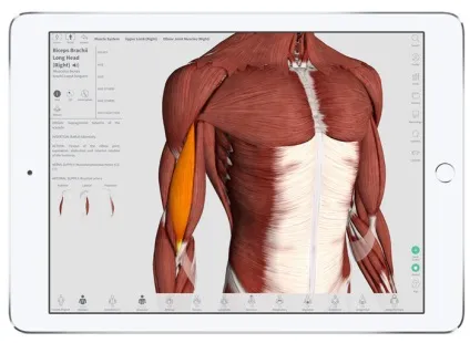 Кращі з кращих 2016 топ додатків для iphone, ipad і mac за версією apple, - новини зі світу apple (2016) Кращі з кращих 2016 топ додатків для iphone, ipad і mac за версією apple, - новини зі світу apple